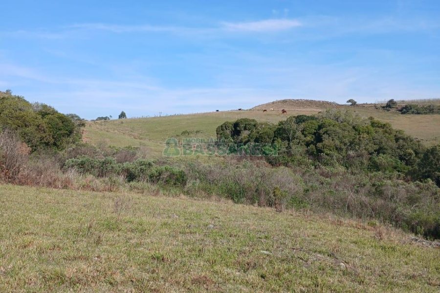 Chácara, no bairro Apanhador em Caxias do Sul para Comprar