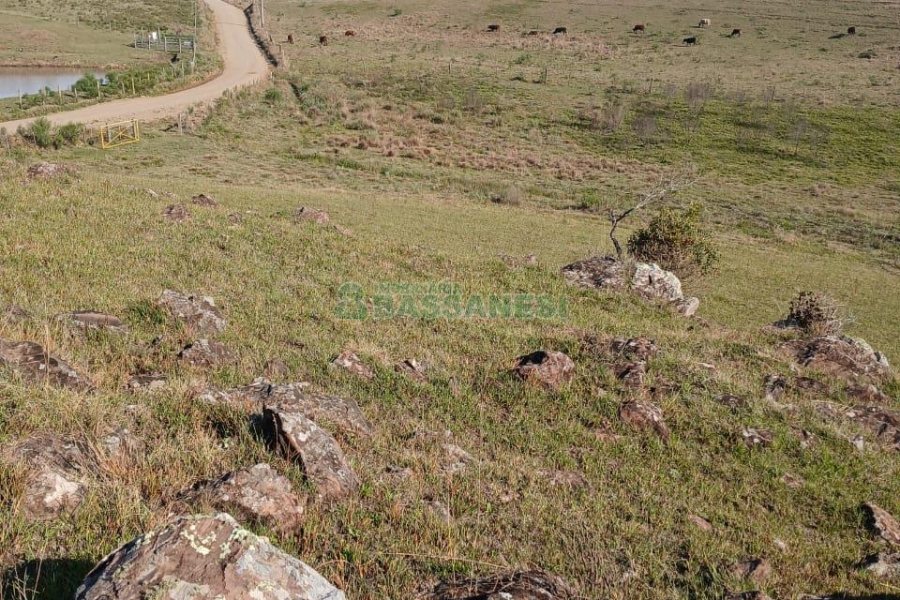 Chácara, no bairro Apanhador em Caxias do Sul para Comprar