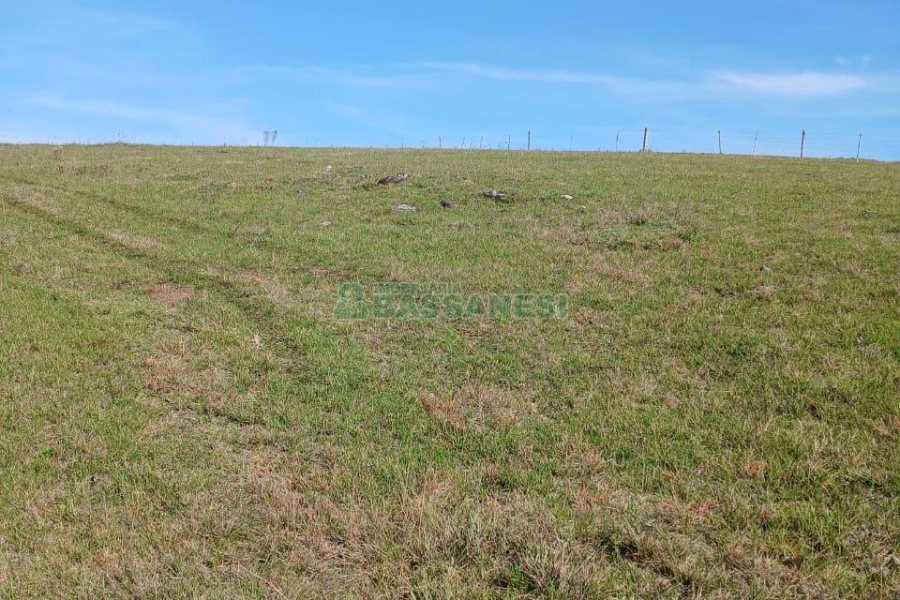 Chácara, no bairro Apanhador em Caxias do Sul para Comprar