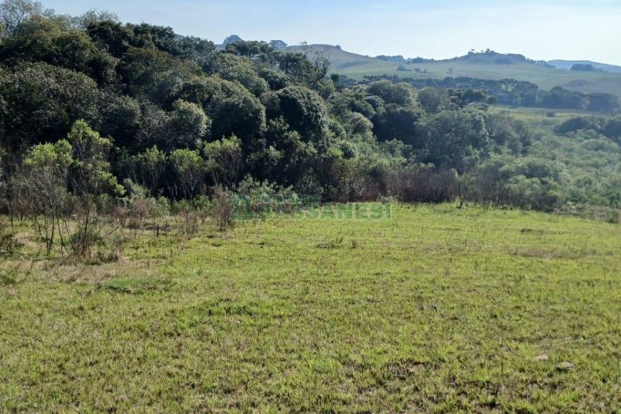 Chácara, no bairro Apanhador em Caxias do Sul para Comprar
