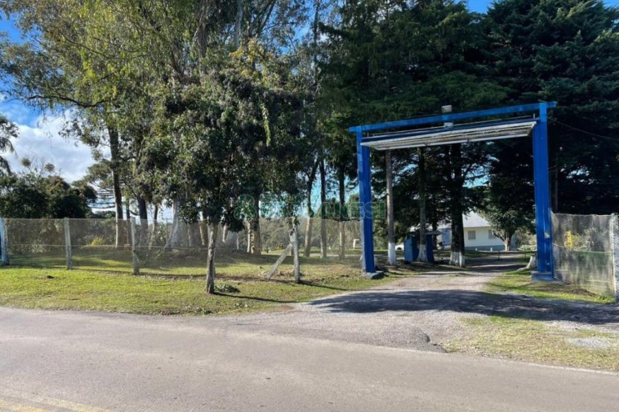 Chácara com 1200m², no bairro 3 Legua em Caxias do Sul para Comprar