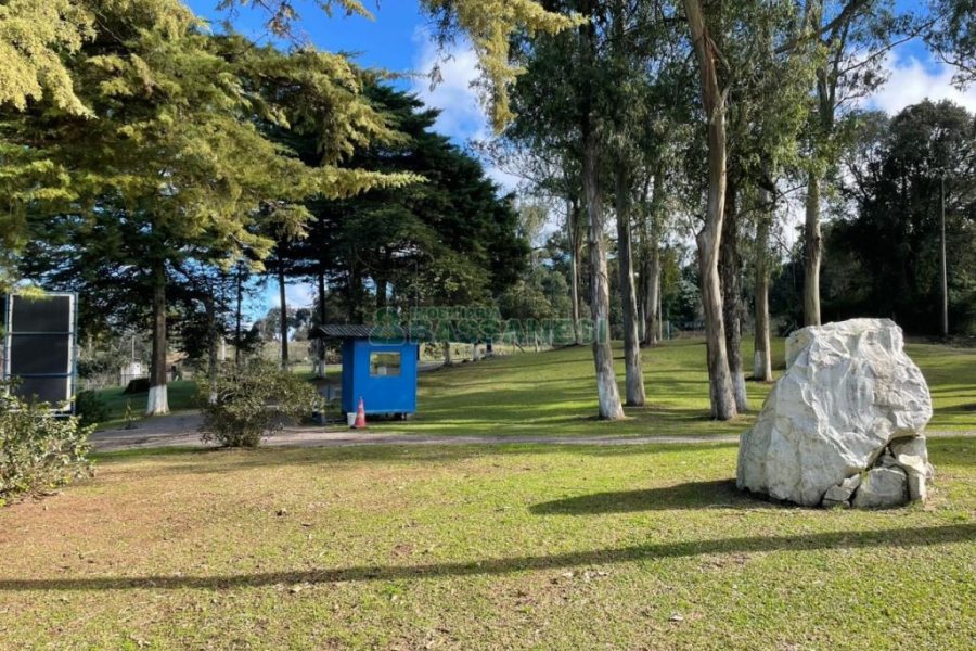 Chácara com 1200m², no bairro 3 Legua em Caxias do Sul para Comprar