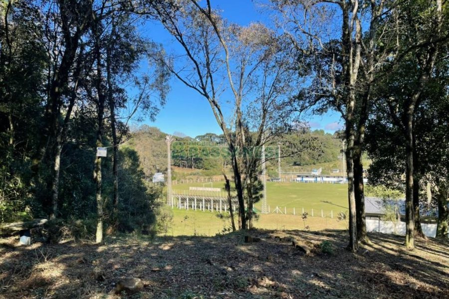 Chácara com 1200m², no bairro 3 Legua em Caxias do Sul para Comprar