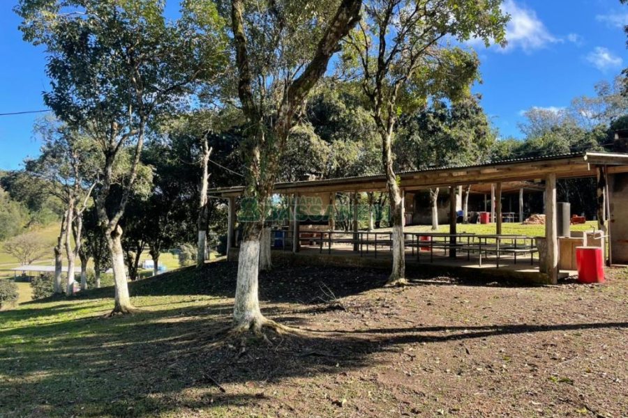 Chácara com 1200m², no bairro 3 Legua em Caxias do Sul para Comprar