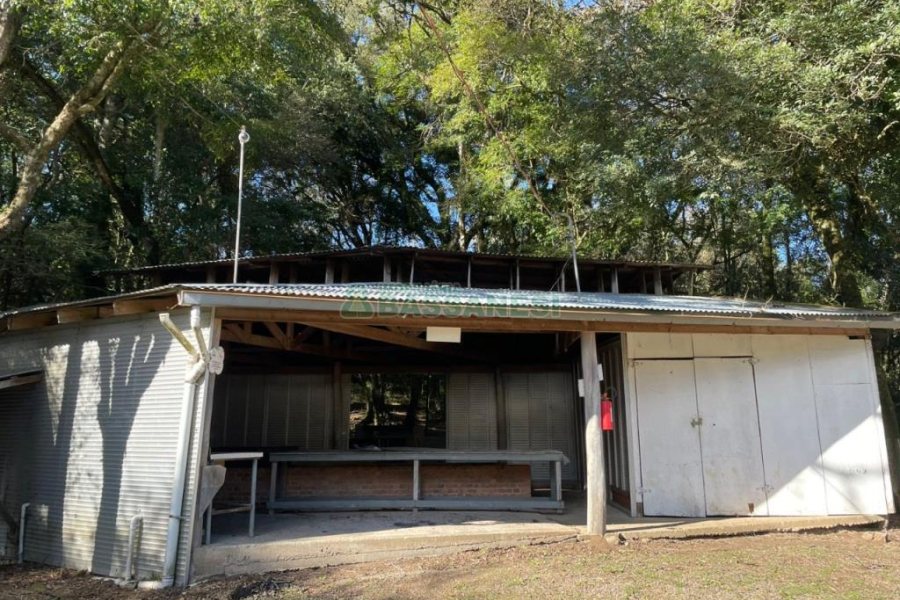 Chácara com 1200m², no bairro 3 Legua em Caxias do Sul para Comprar