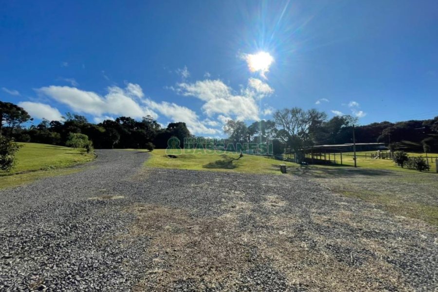 Chácara com 1200m², no bairro 3 Legua em Caxias do Sul para Comprar