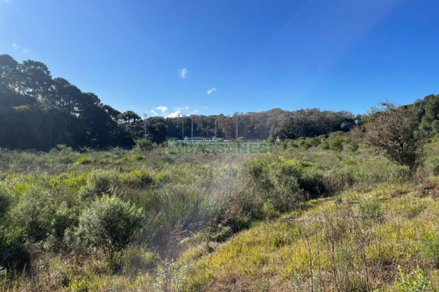 Chácara com 1200m², no bairro 3 Legua em Caxias do Sul para Comprar