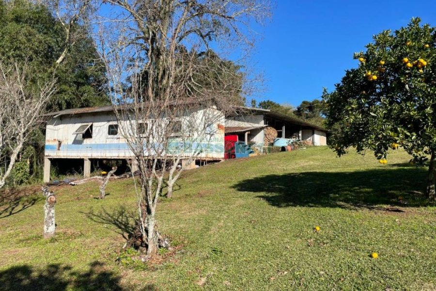 Chácara com 1200m², no bairro 3 Legua em Caxias do Sul para Comprar