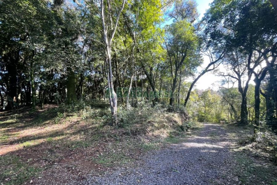 Chácara com 1200m², no bairro 3 Legua em Caxias do Sul para Comprar