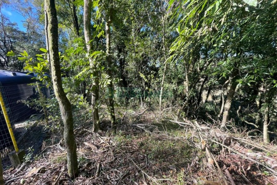 Chácara com 1200m², no bairro 3 Legua em Caxias do Sul para Comprar