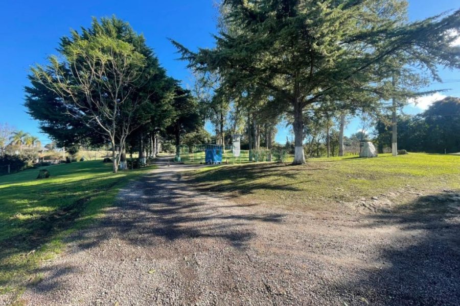 Chácara com 1200m², no bairro 3 Legua em Caxias do Sul para Comprar