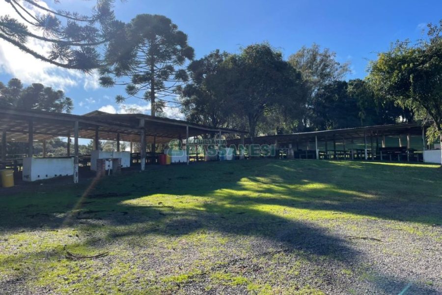 Chácara com 1200m², no bairro 3 Legua em Caxias do Sul para Comprar
