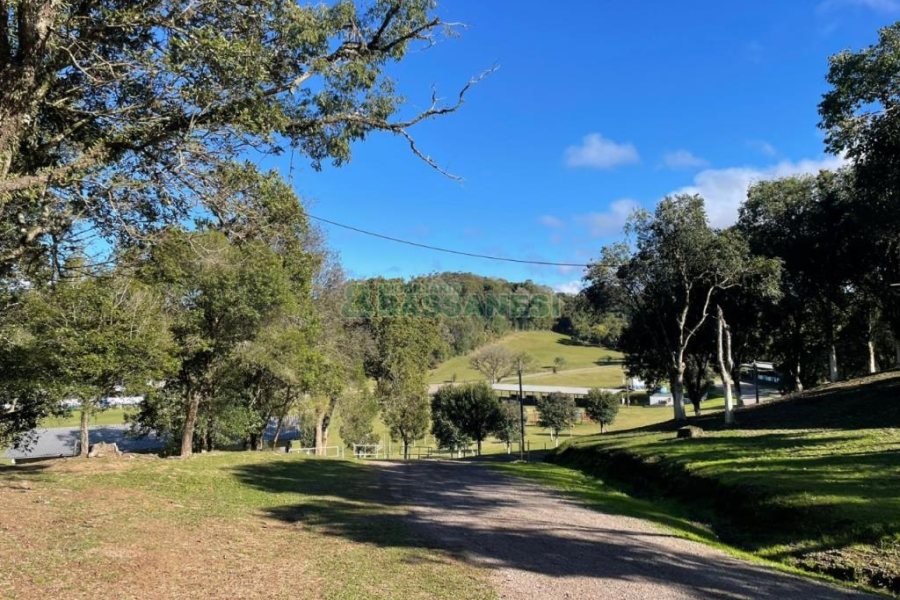 Chácara com 1200m², no bairro 3 Legua em Caxias do Sul para Comprar