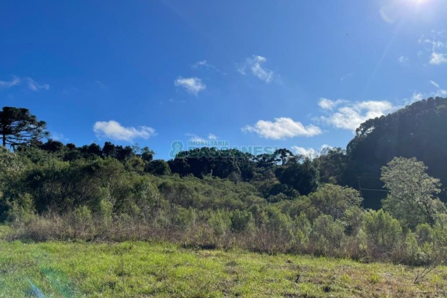 Chácara com 1200m², no bairro 3 Legua em Caxias do Sul para Comprar