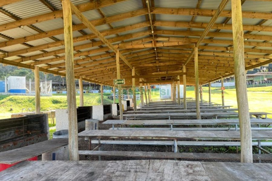 Chácara com 1200m², no bairro 3 Legua em Caxias do Sul para Comprar