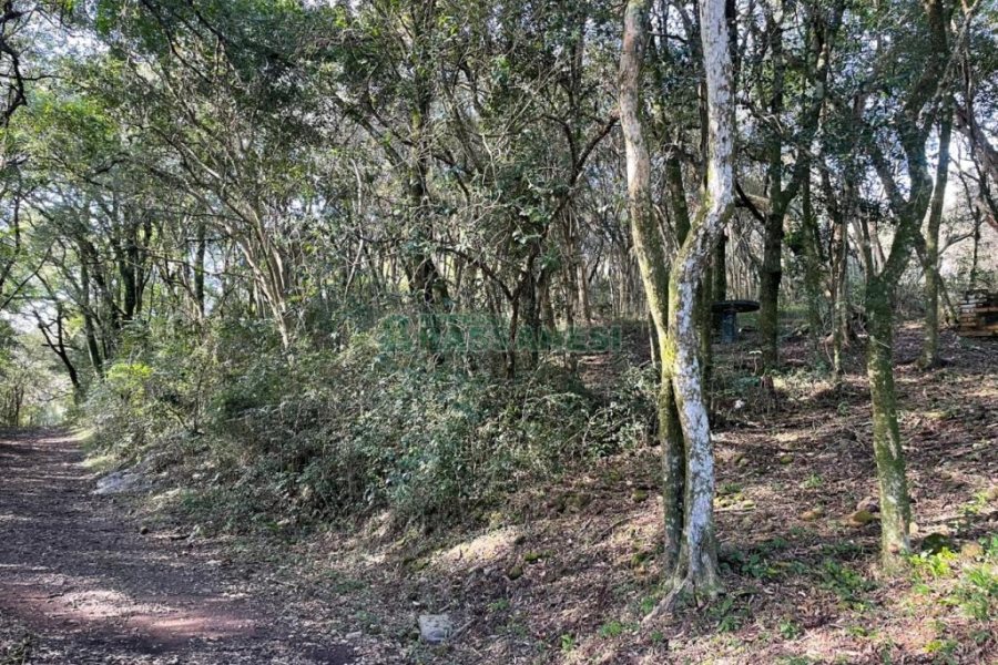 Chácara com 1200m², no bairro 3 Legua em Caxias do Sul para Comprar
