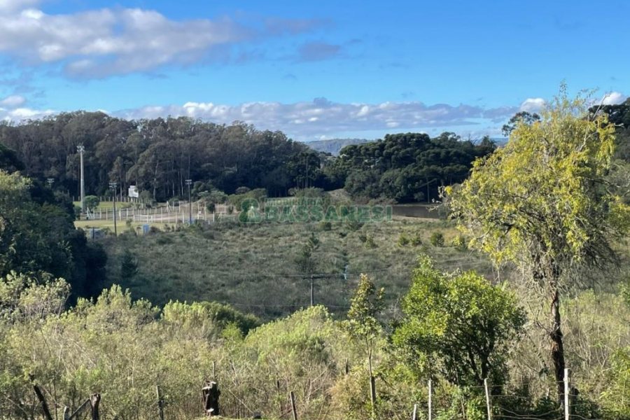 Chácara com 1200m², no bairro 3 Legua em Caxias do Sul para Comprar