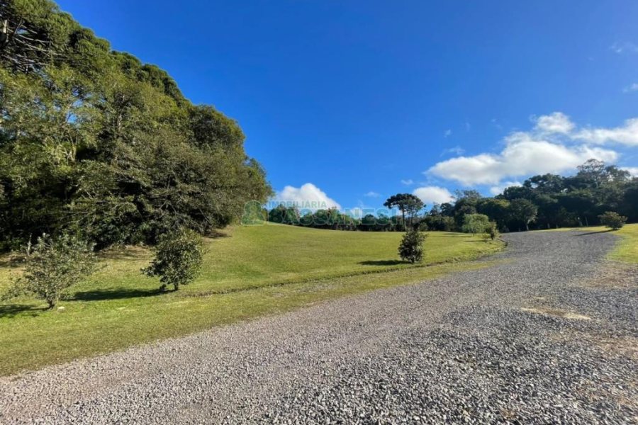 Chácara com 1200m², no bairro 3 Legua em Caxias do Sul para Comprar
