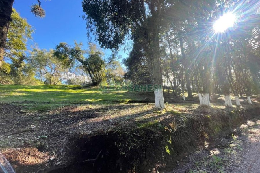 Chácara com 1200m², no bairro 3 Legua em Caxias do Sul para Comprar