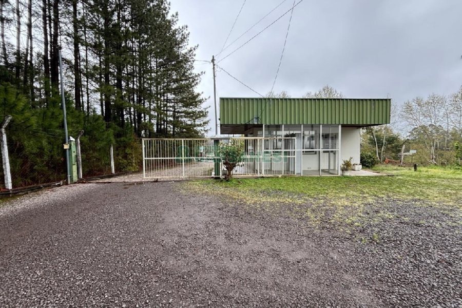 Pavilhão com 6000m², no bairro Santa Catarina em Caxias do Sul para Alugar