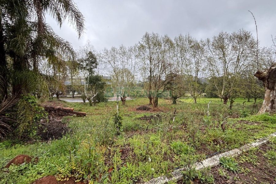 Pavilhão com 6000m², no bairro Santa Catarina em Caxias do Sul para Alugar