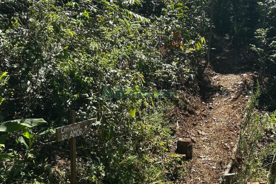 Chácara com 1600m², 3 dormitórios, no bairro 3 Legua em Caxias do Sul para Comprar