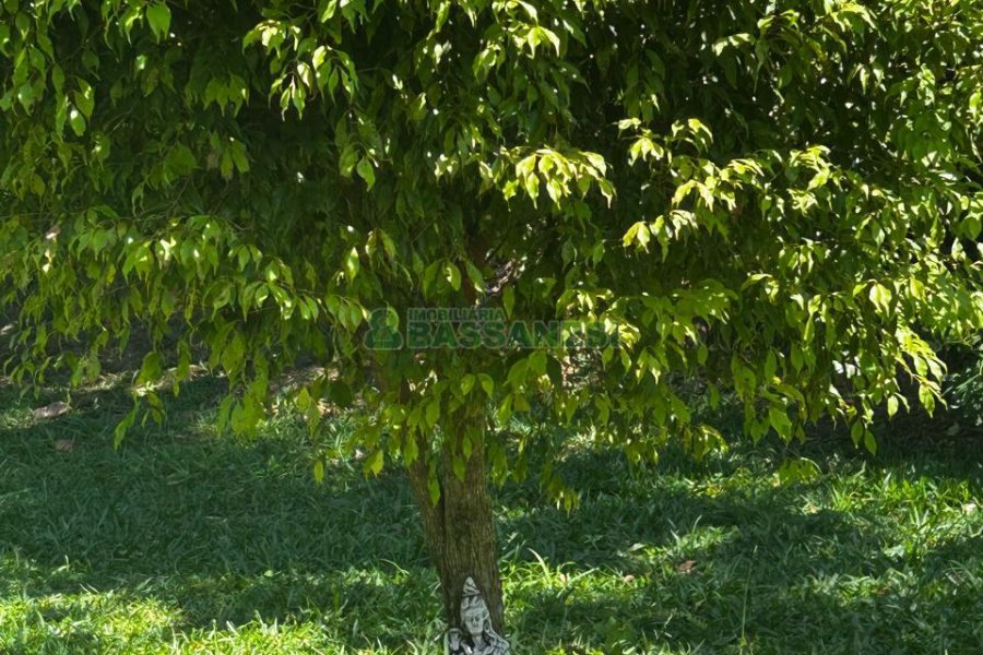 Chácara com 1600m², 3 dormitórios, no bairro 3 Legua em Caxias do Sul para Comprar