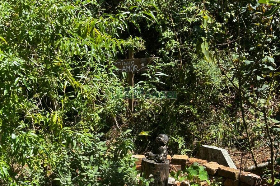 Chácara com 1600m², 3 dormitórios, no bairro 3 Legua em Caxias do Sul para Comprar