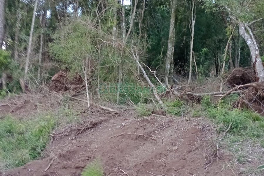 Chácara com 21124m², no bairro Vila Oliva em Caxias do Sul para Comprar