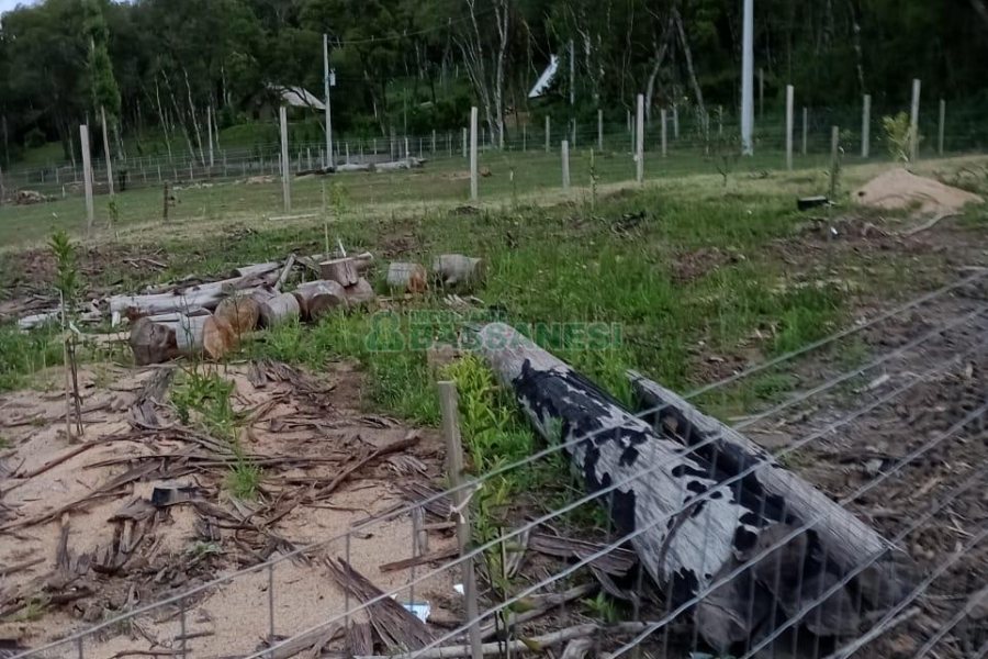 Chácara com 21124m², no bairro Vila Oliva em Caxias do Sul para Comprar