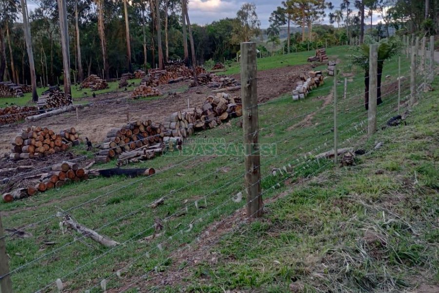 Chácara com 21124m², no bairro Vila Oliva em Caxias do Sul para Comprar