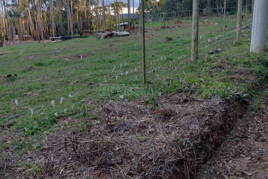 Chácara com 21124m², no bairro Vila Oliva em Caxias do Sul para Comprar