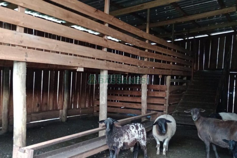 Chácara com 21124m², no bairro Vila Oliva em Caxias do Sul para Comprar