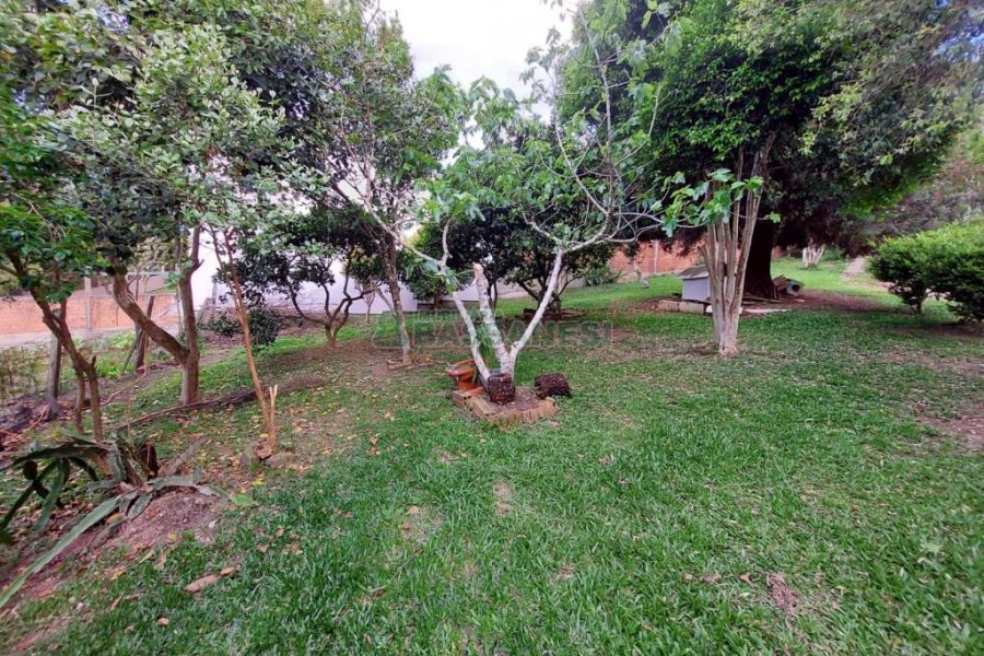 Casa com 306m², 3 dormitórios, 1 vaga, no bairro Pedancino em Caxias do Sul para Comprar