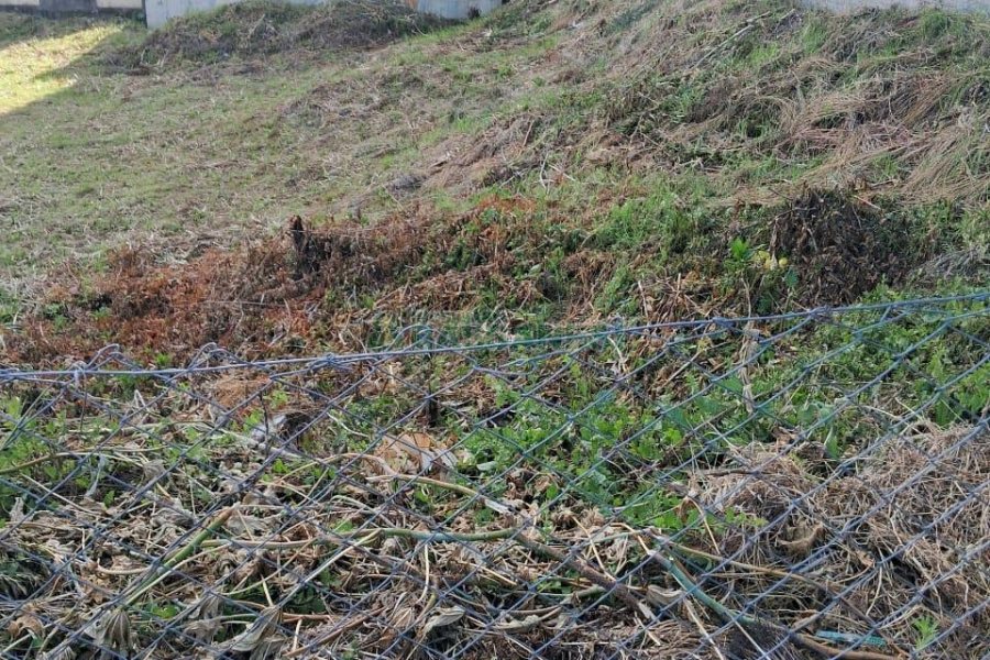 Terreno, no bairro Pio X em Caxias do Sul para Comprar