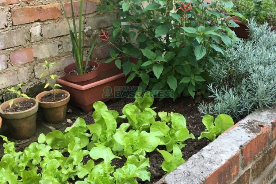 Casa com 450m², 4 dormitórios, 2 vagas, no bairro Rio Branco em Caxias do Sul para Comprar