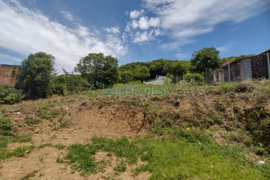 Chácara com 90m², 3 dormitórios, no bairro Parada Cristal em Caxias do Sul para Comprar