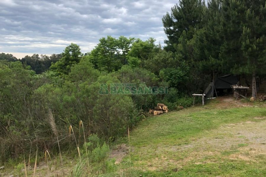 Terreno com 37387m², no bairro Sao Lucas em Caxias do Sul para Comprar