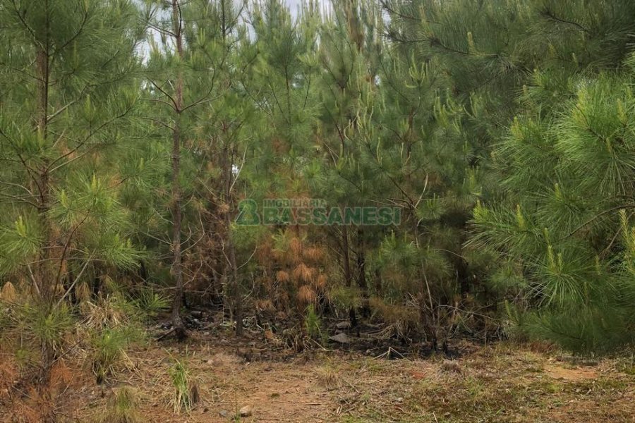 Terreno com 37387m², no bairro Sao Lucas em Caxias do Sul para Comprar