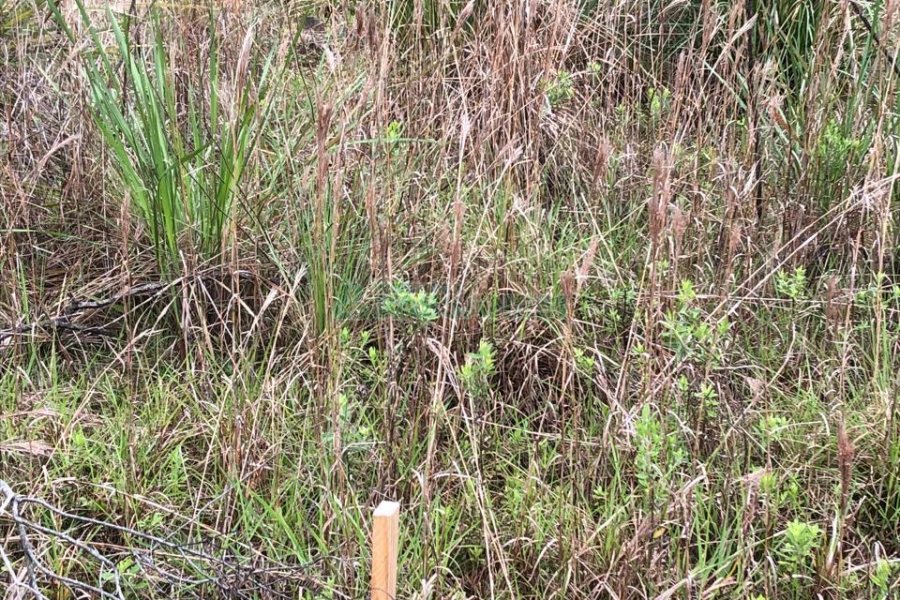 Terreno com 37387m², no bairro Sao Lucas em Caxias do Sul para Comprar