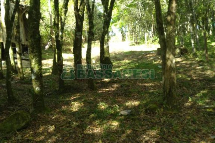 Chácara com 60m², 2 dormitórios, no bairro Criúva em Caxias do Sul para Comprar