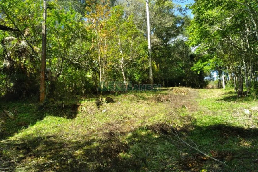 Chácara com 60m², 2 dormitórios, no bairro Criúva em Caxias do Sul para Comprar