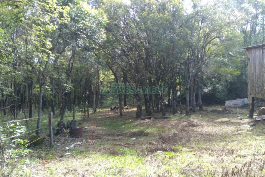 Chácara com 60m², 2 dormitórios, no bairro Criúva em Caxias do Sul para Comprar