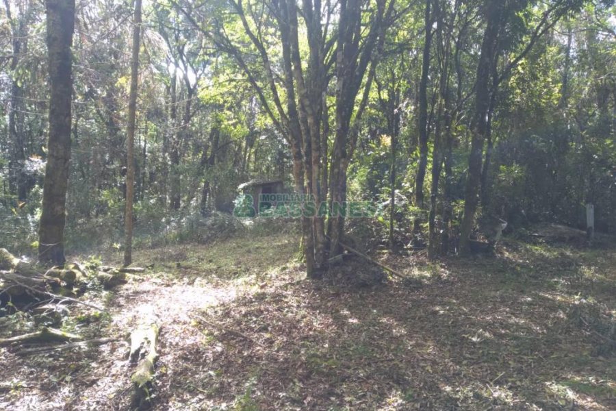 Chácara com 60m², 2 dormitórios, no bairro Criúva em Caxias do Sul para Comprar