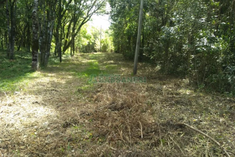 Chácara com 60m², 2 dormitórios, no bairro Criúva em Caxias do Sul para Comprar