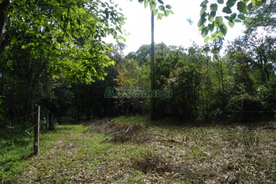 Chácara com 60m², 2 dormitórios, no bairro Criúva em Caxias do Sul para Comprar