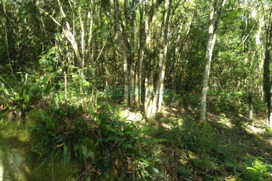 Chácara com 60m², 2 dormitórios, no bairro Criúva em Caxias do Sul para Comprar