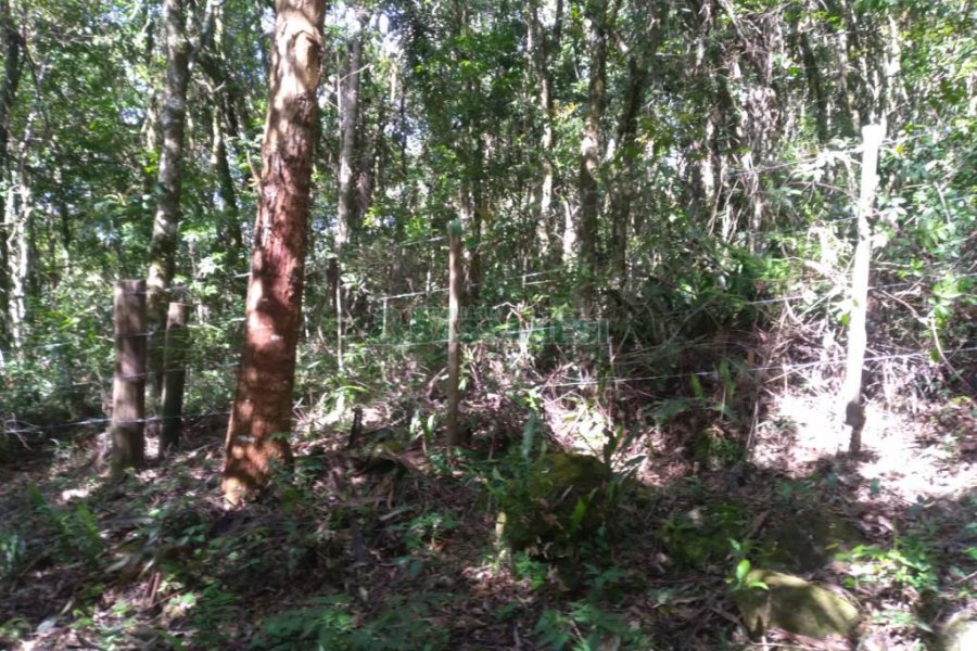 Chácara com 60m², 2 dormitórios, no bairro Criúva em Caxias do Sul para Comprar