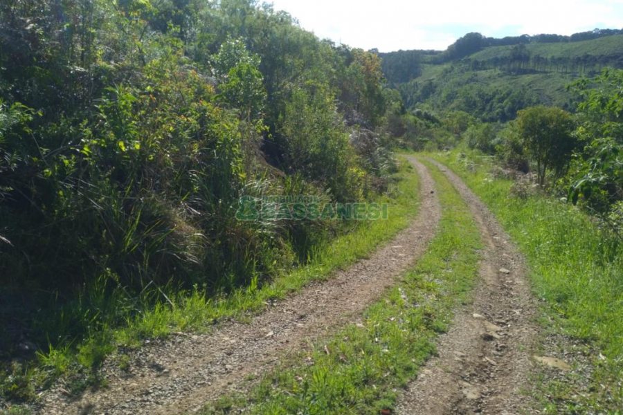 Chácara com 60m², 2 dormitórios, no bairro Criúva em Caxias do Sul para Comprar