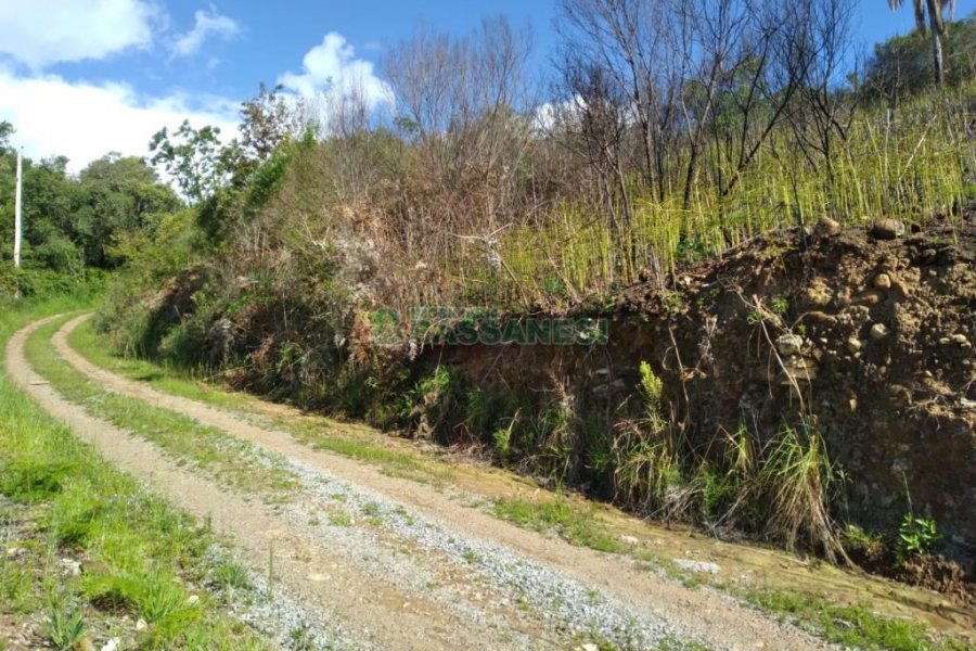Chácara com 60m², 2 dormitórios, no bairro Criúva em Caxias do Sul para Comprar